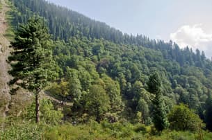 Y93ewqq42pyv2bfn2q8nb437bkr7 18347829613 8bf6664c6d b