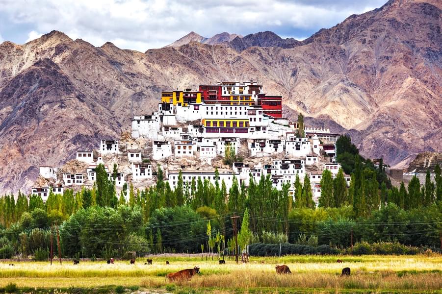 Leh Ladakh Tour Package with Turtuk Visit Image