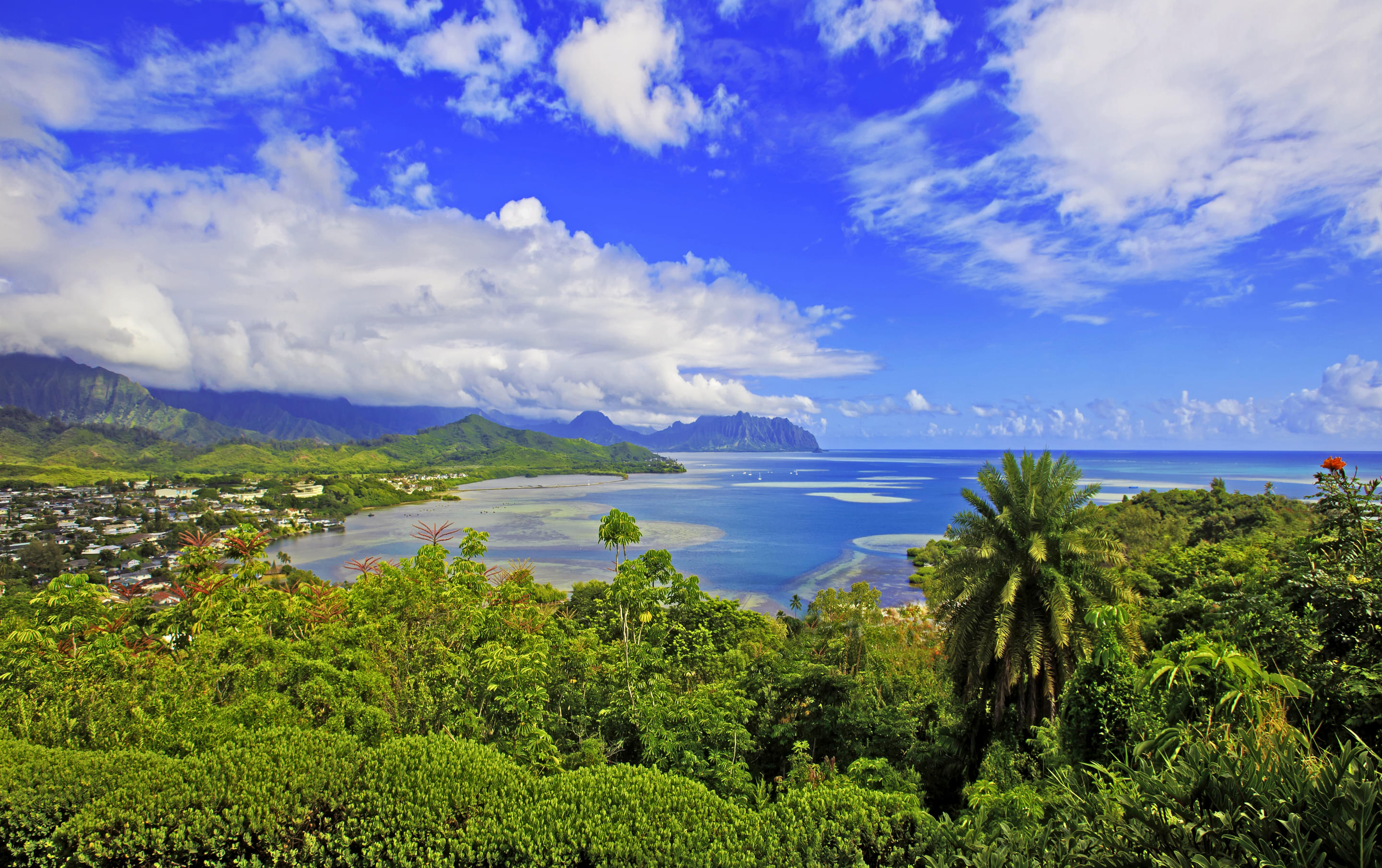 Kaneohe Overview