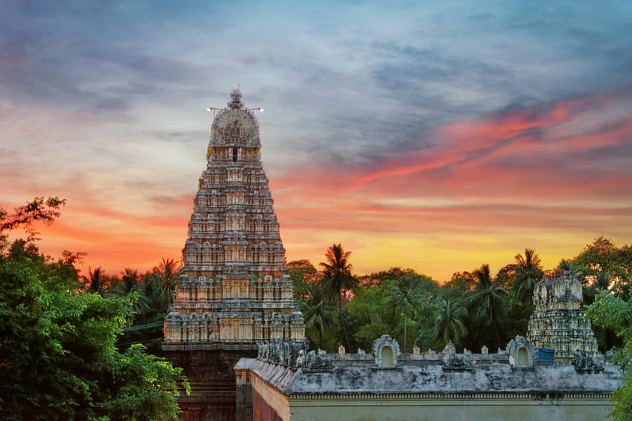 Chennai To Tirupati One day Package By Bus Image