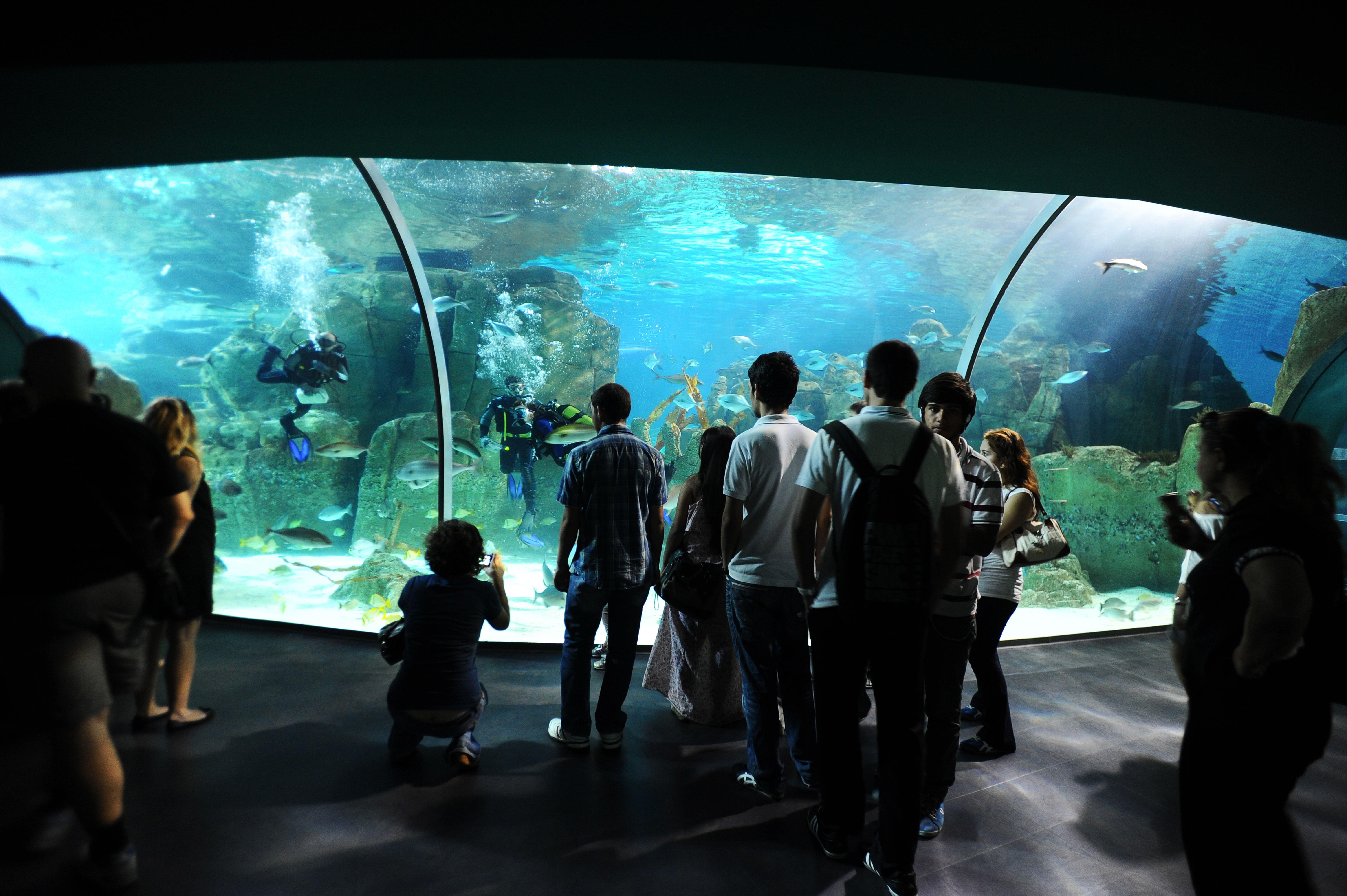 Aquariums in Istanbul