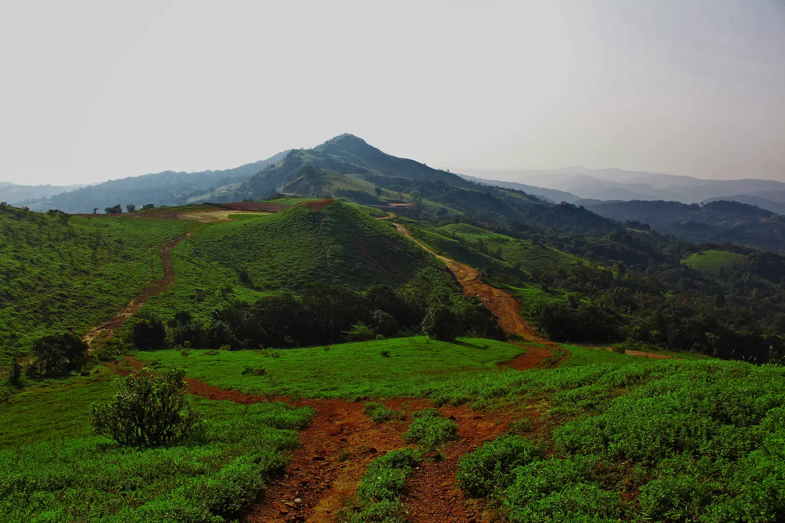 Mandalpatti