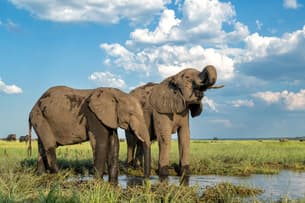 Yamfuyeuglocybx4vczm6wh64v63 shutterstock 2473185065 min