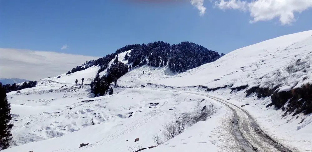 Kacheri