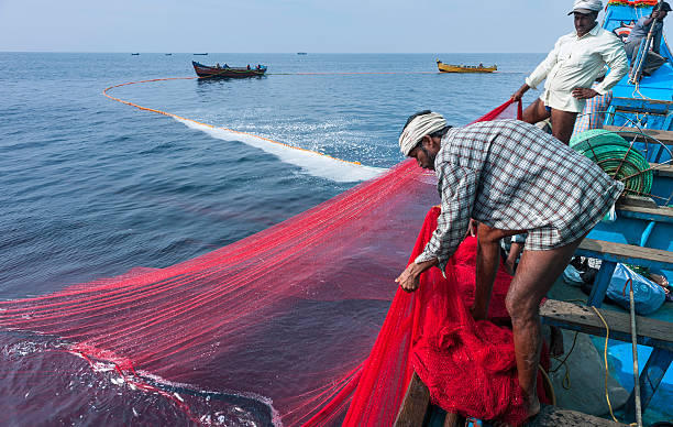 Explore the Fishing Harbor