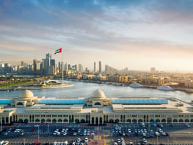 Yb91h5j7cxat6olb05xm1d11s0m6 drup2hewoaib6yq