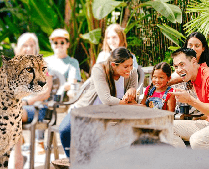 San Diego Zoo Tickets exp.png