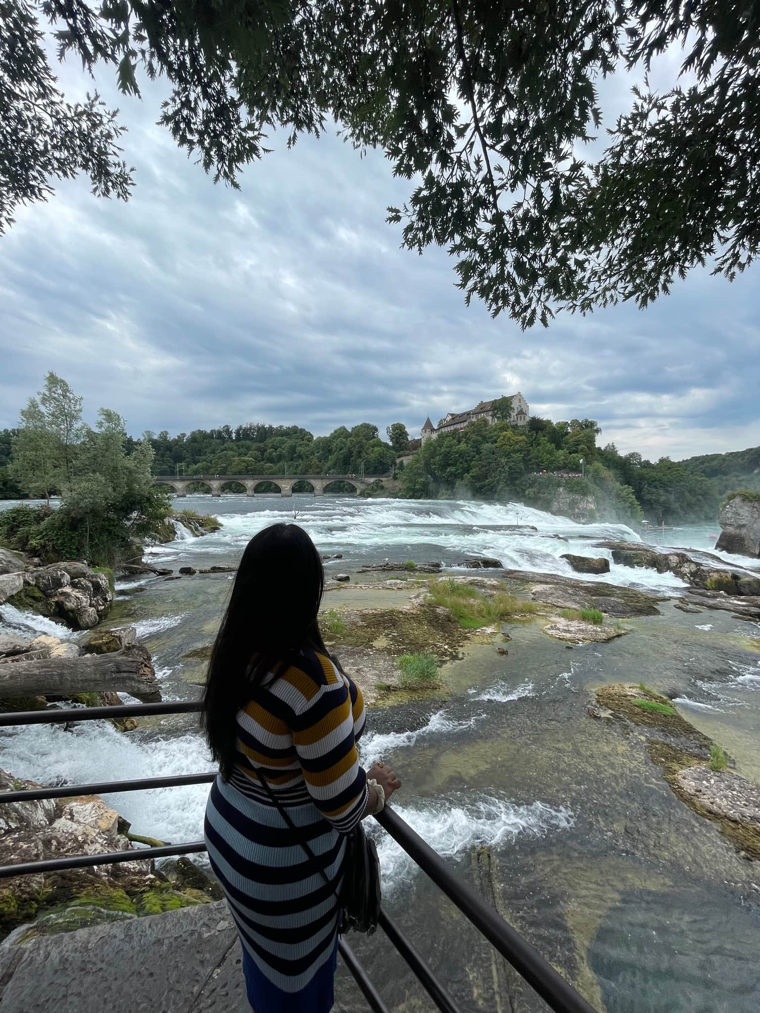 Photo from Saumya -'s trip