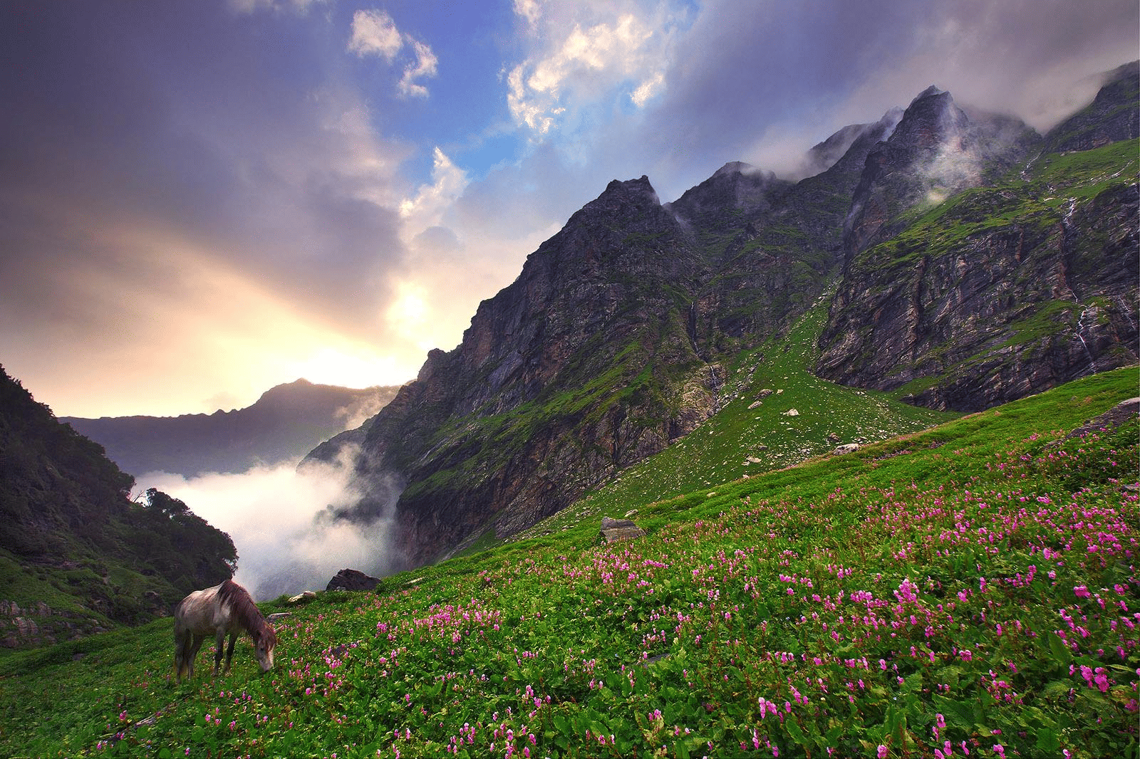 Hampta Pass Overview