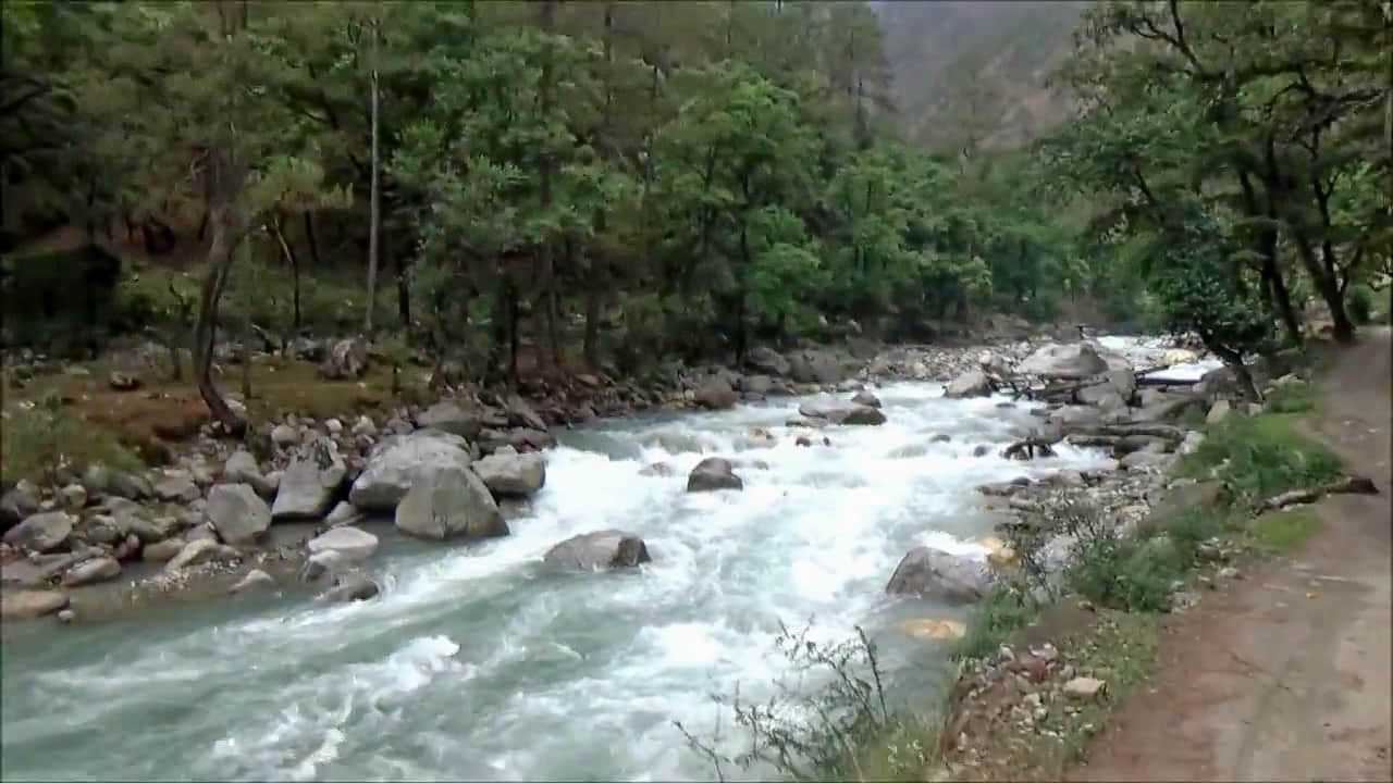 Photo from Daevika Somayaji's trip