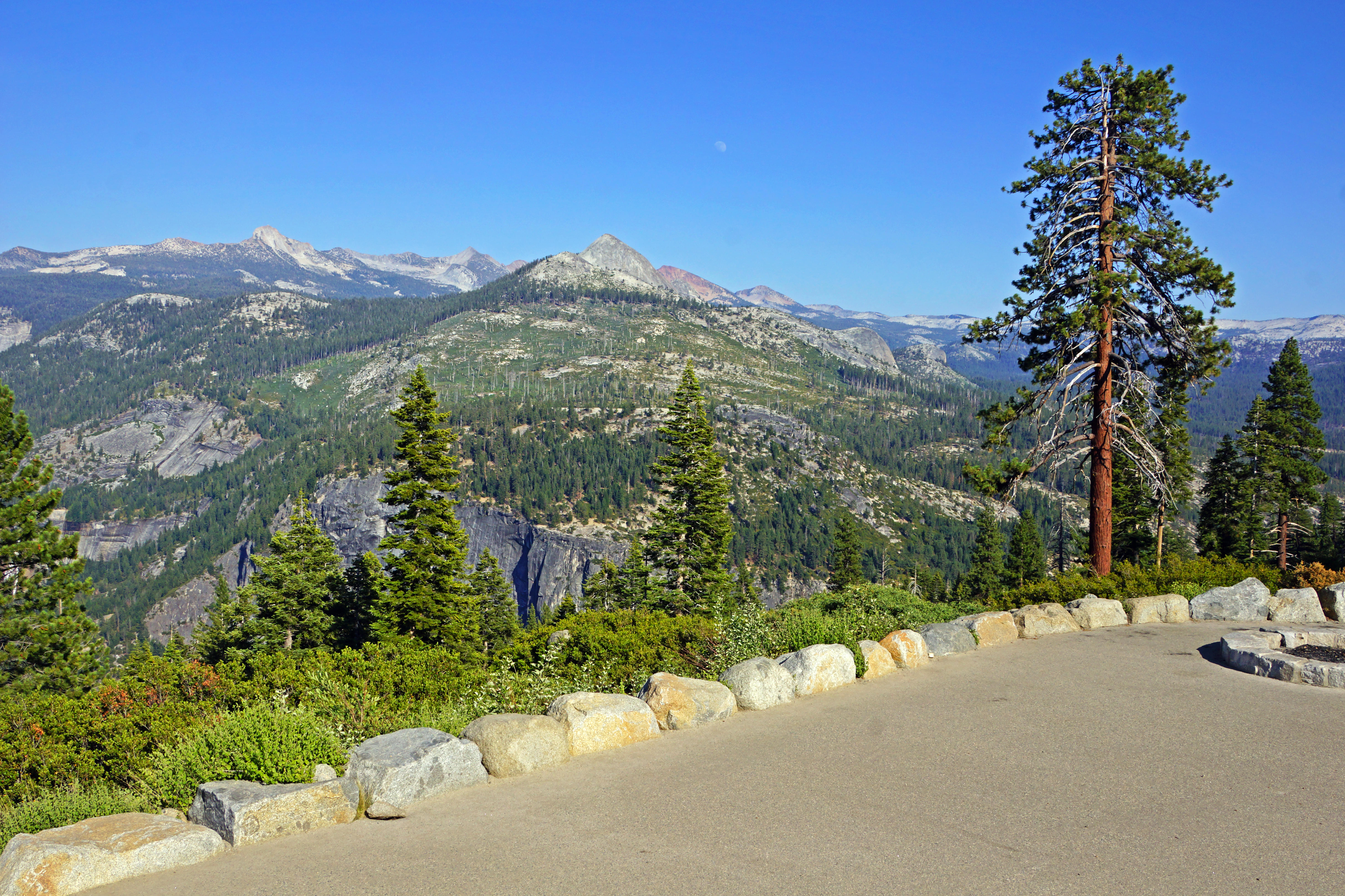 Stroll Through The Glacier Point Trail