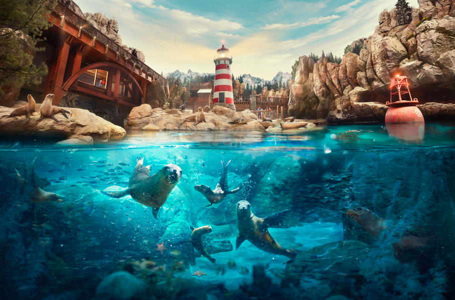 Marvel at an artificial above and underwater habitat of animals in Rocky Point realm