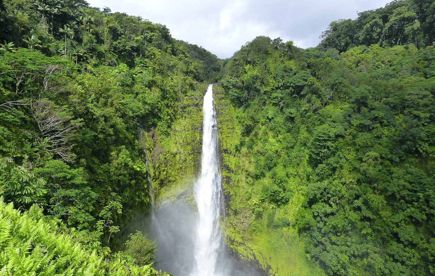 Akaka Falls State Park Overview