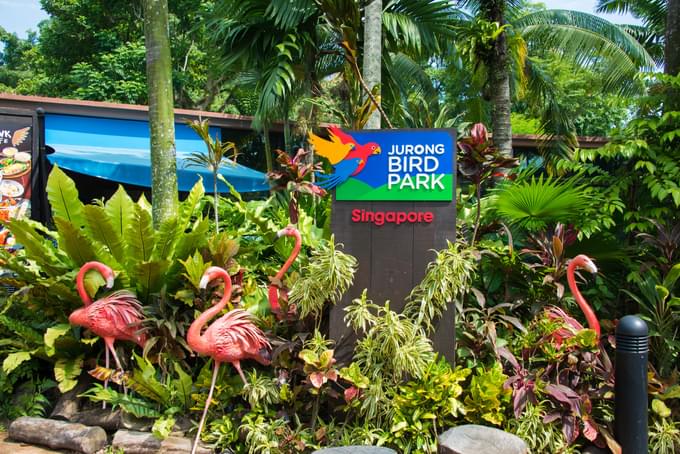 jurongbirdpark