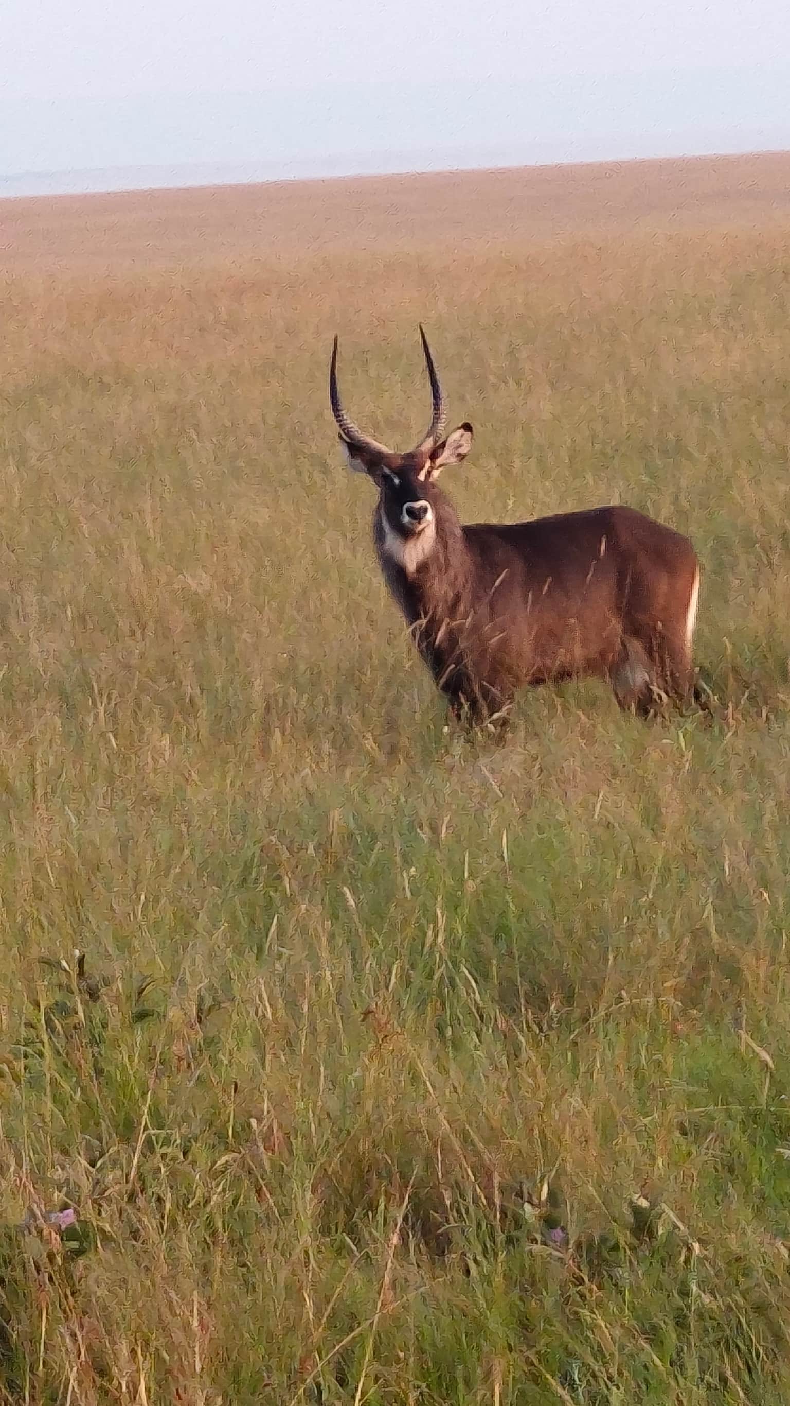 Photo from Avikal Mathur's trip