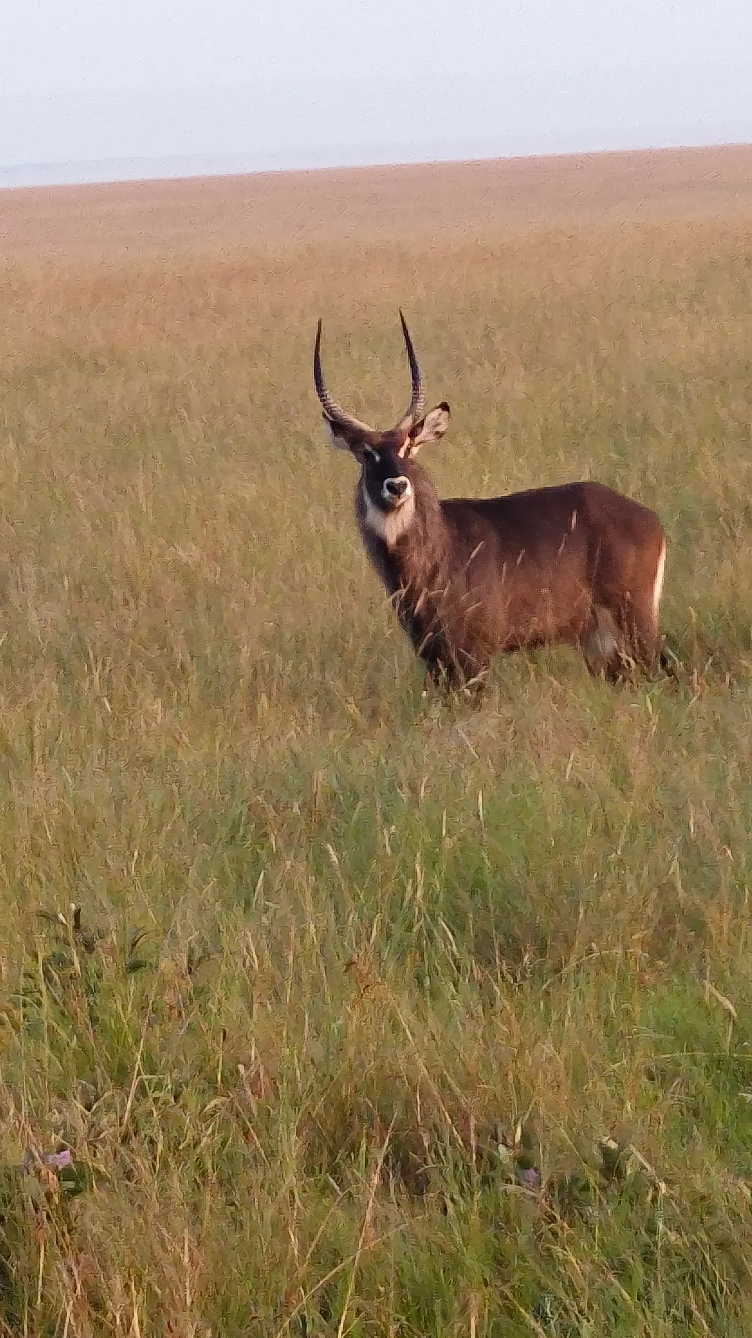 Photo from Avikal Mathur's trip