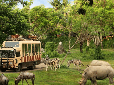 Bali Safari Park - Jungle Hopper