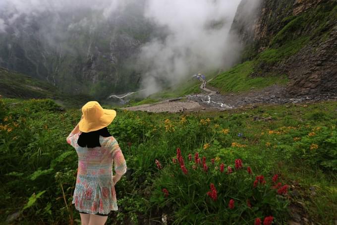 valley of flowers trek