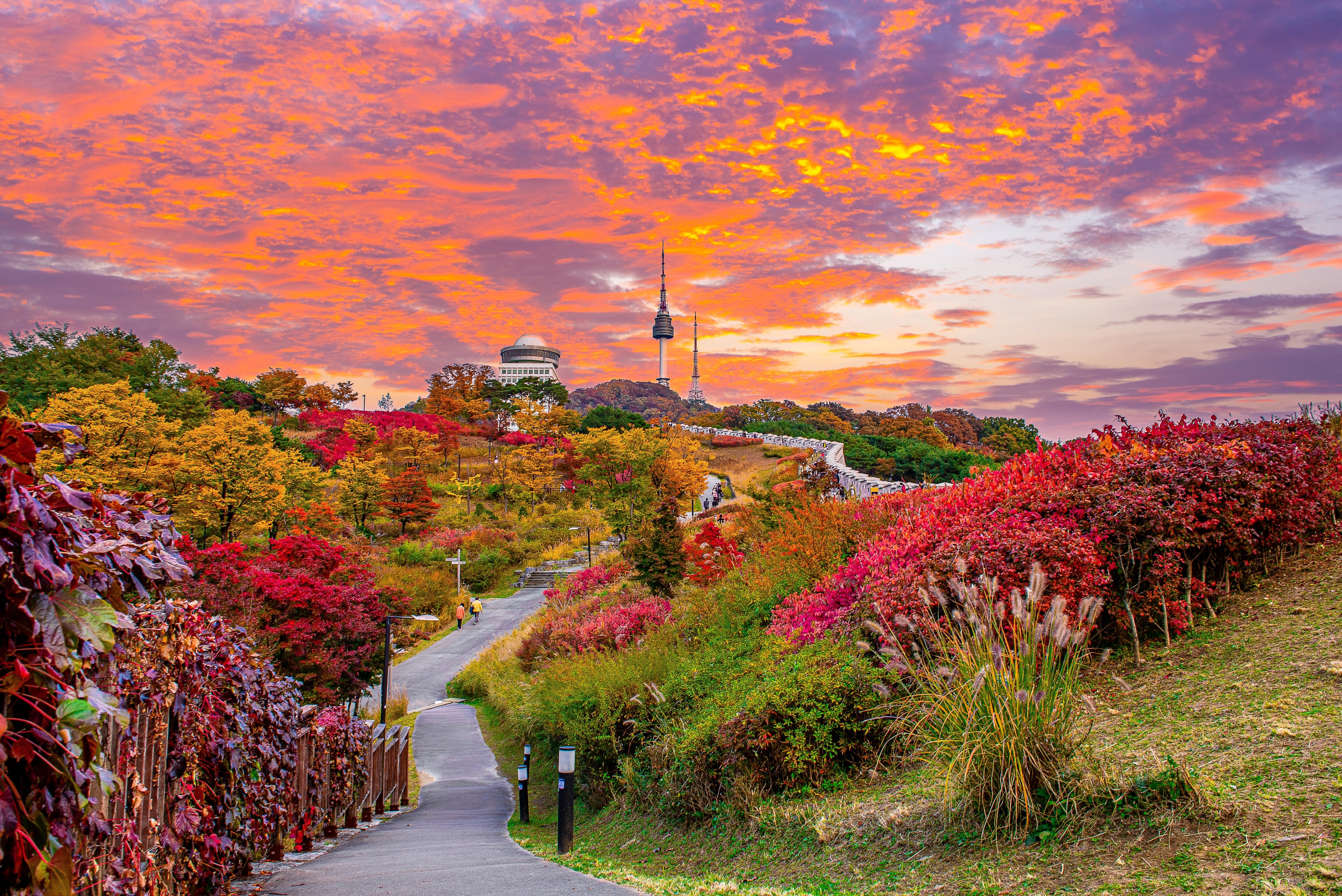 Namsan Tower in autumn – featured in combined Japan and Korea tour itineraries