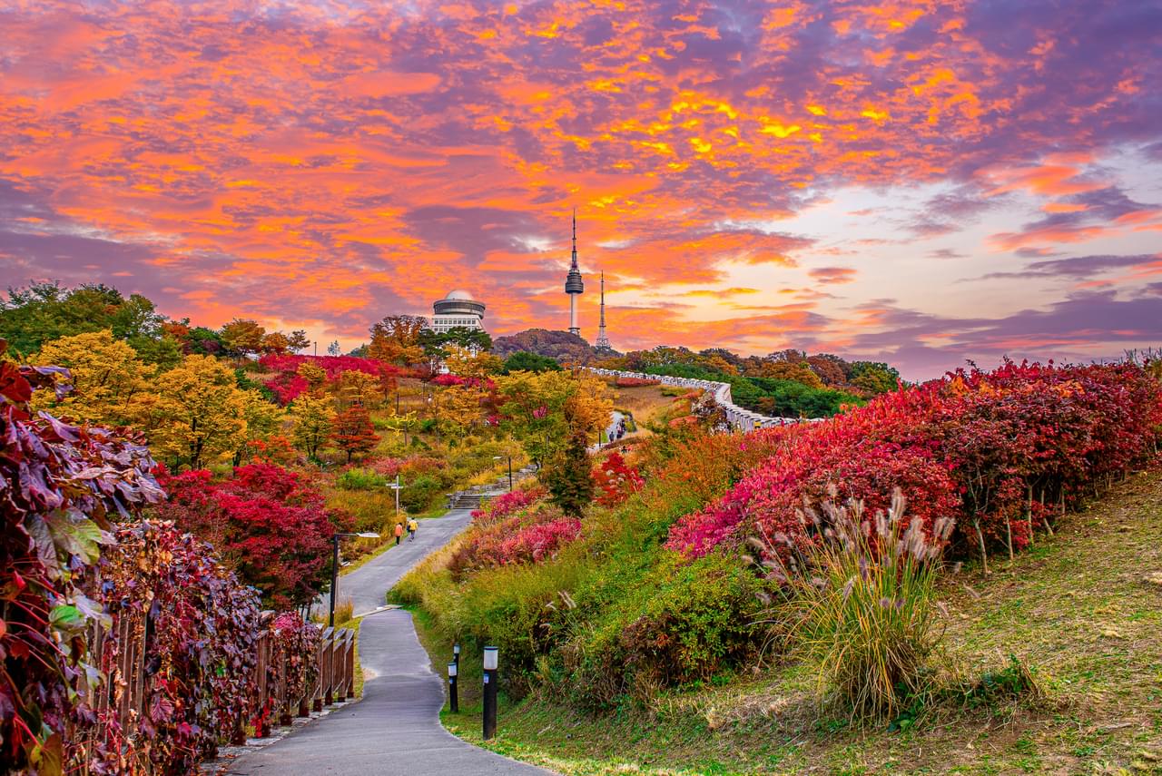 Namsan Tower in autumn – featured in combined Japan and Korea tour itineraries