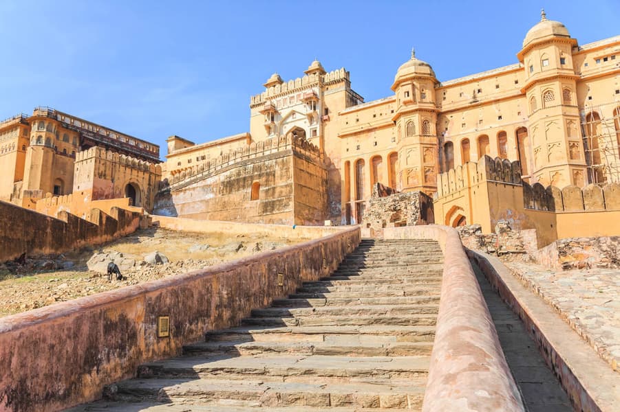 Jaipur City Sightseeing Tour with Jal Mahal Image