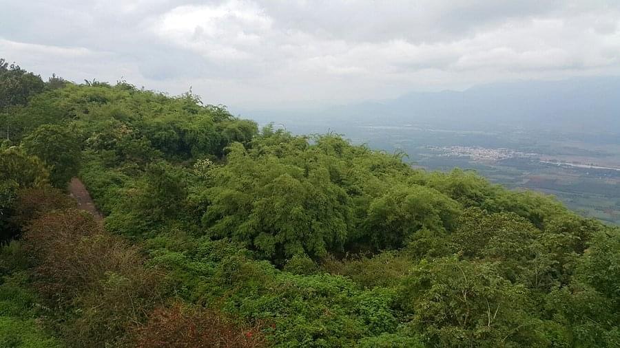 Jungle Jeep Safari Thekkady  Image