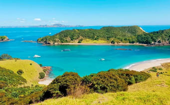 Bay Of Islands