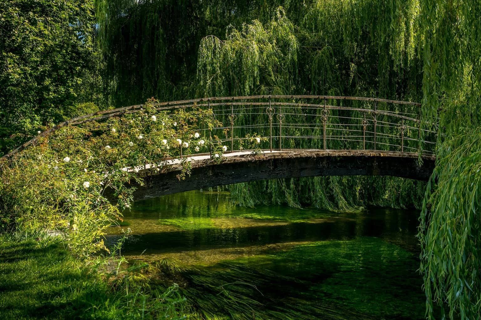 The Monet's Garden 