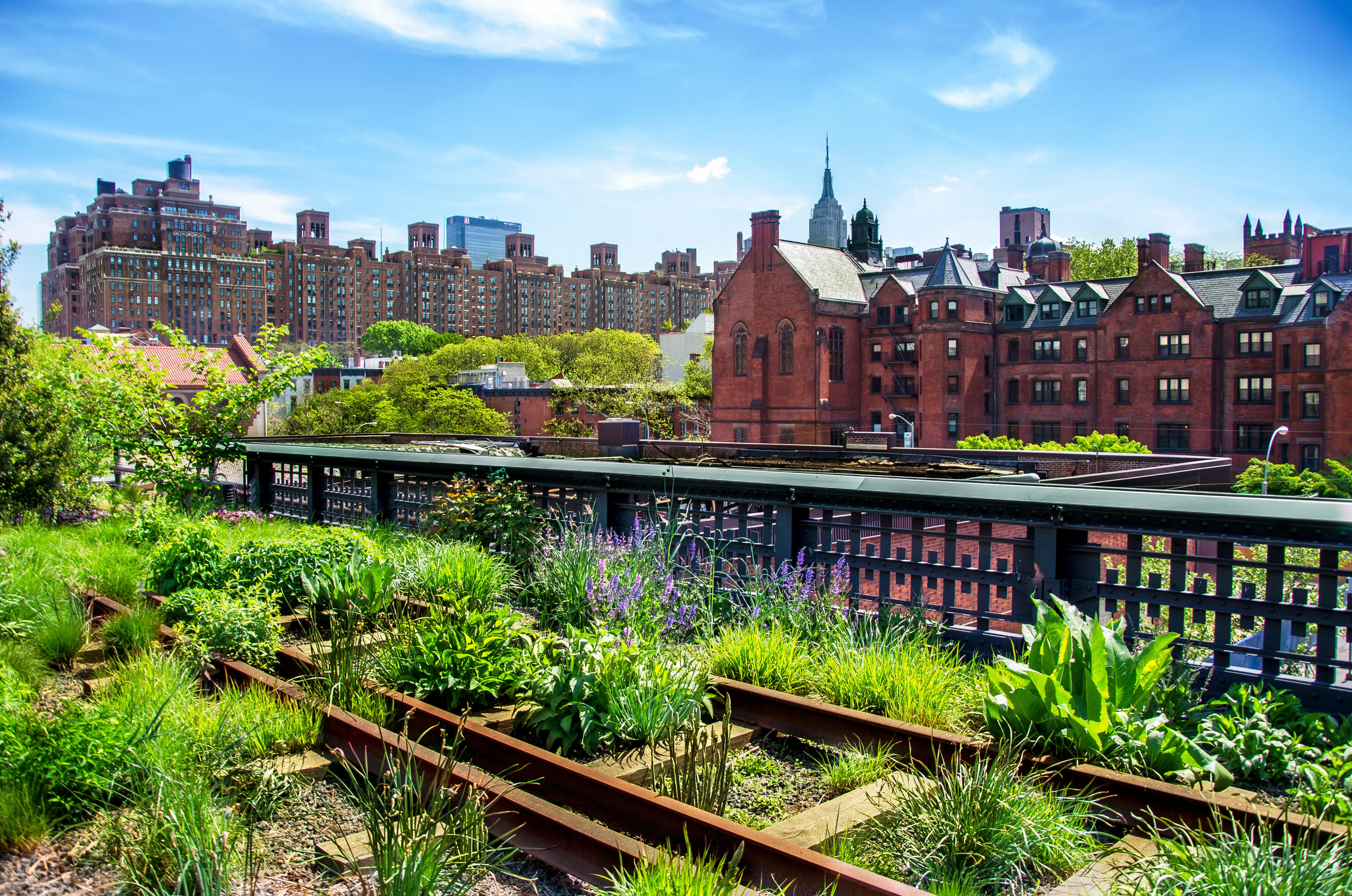 High Line Overview