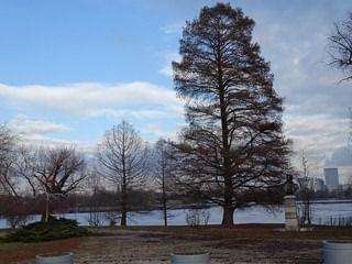 Herastrau Park