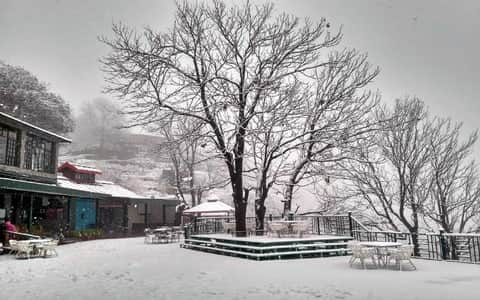 <em>Kasauli</em> Tour Packages From Delhi 