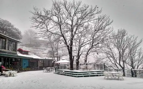 <em>Kasauli</em> Tour Packages From Nagpur 