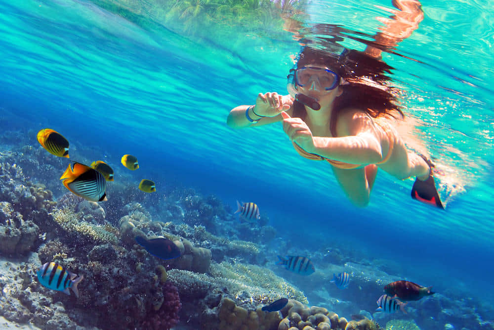Adventure Activities & Experiences in Andaman