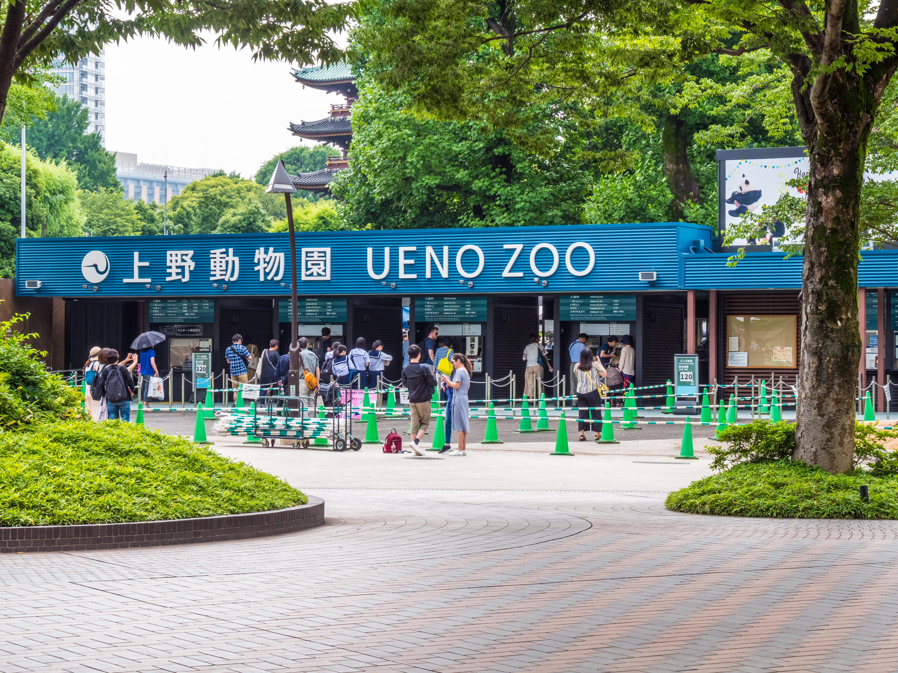 Ueno Zoo Overview