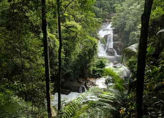 Meenmutty Waterfalls, Wayanad