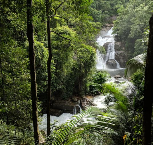 Meenmutty Waterfalls, Wayanad