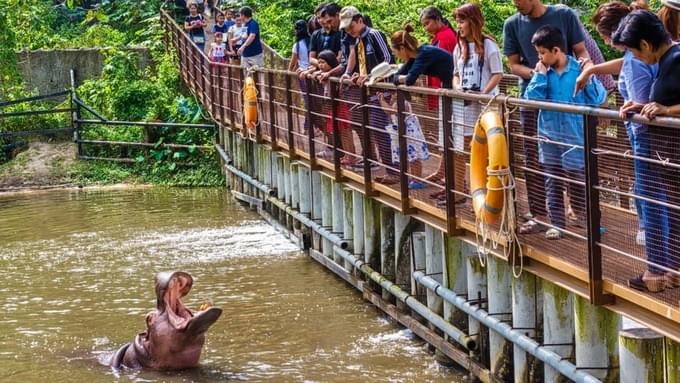 Khao Khew Open Zoo