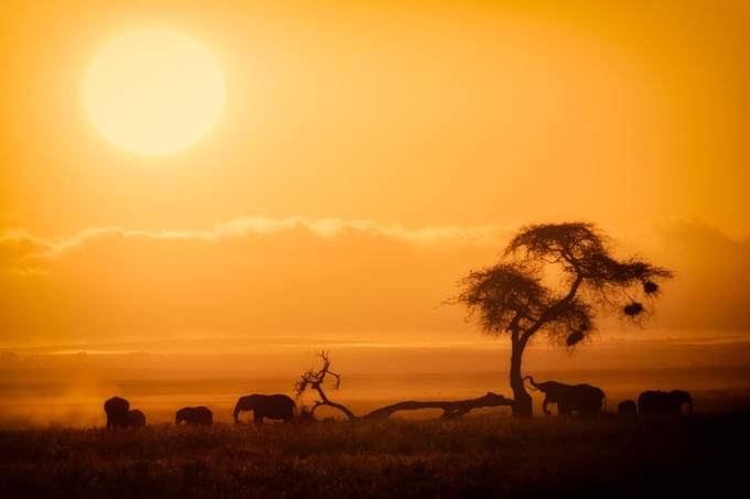 Nairobi national park