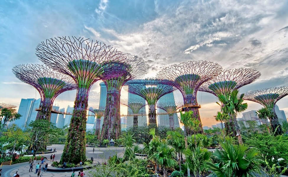 Gardens by the Bay & Marina Bay Sands Combo Image