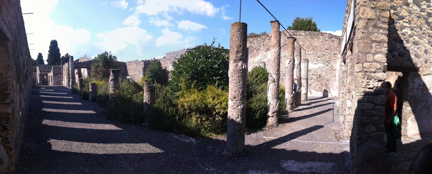 About Sorrento to Pompeii Tour