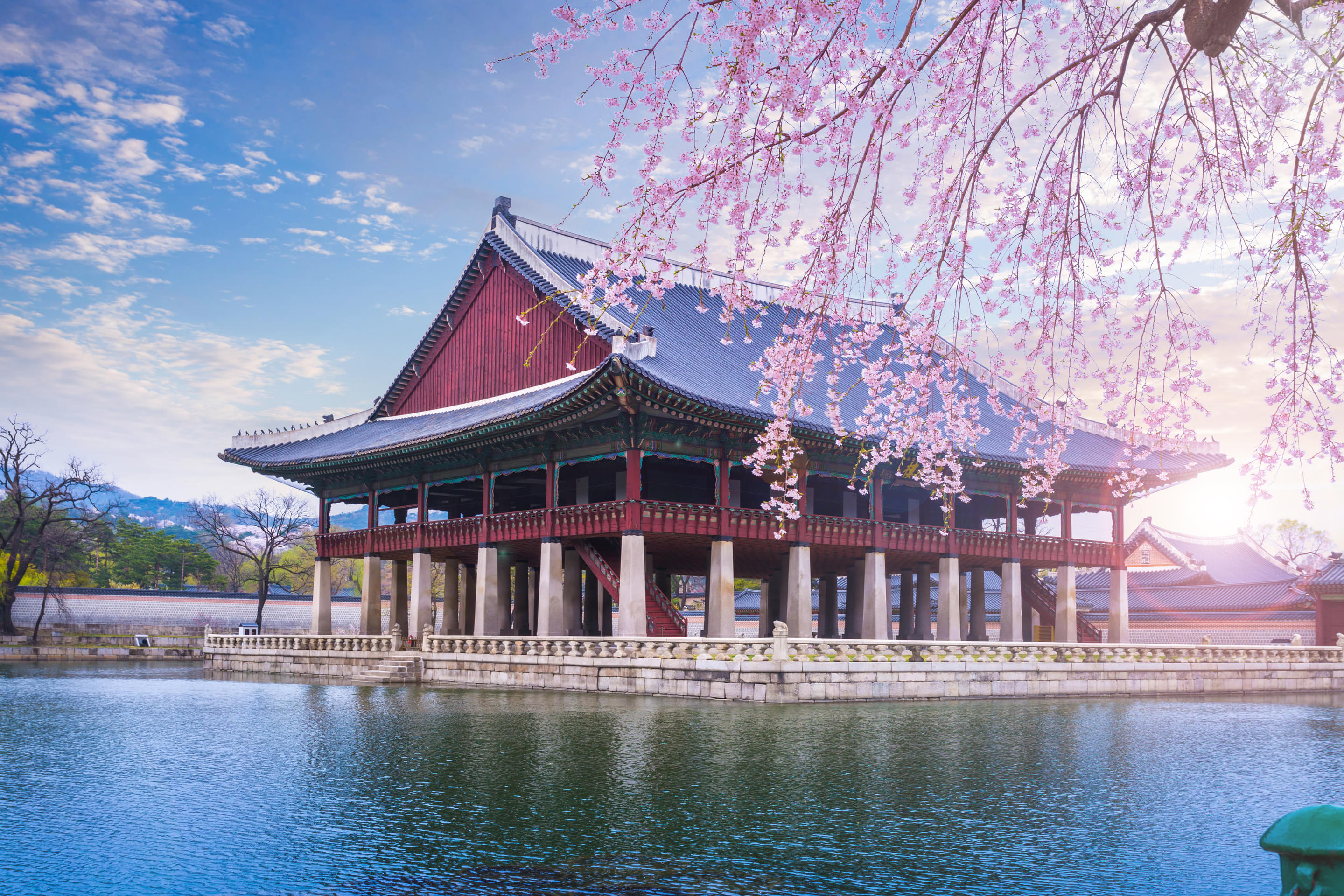 South Korea Packages from Delhi | Get Upto 50% Off