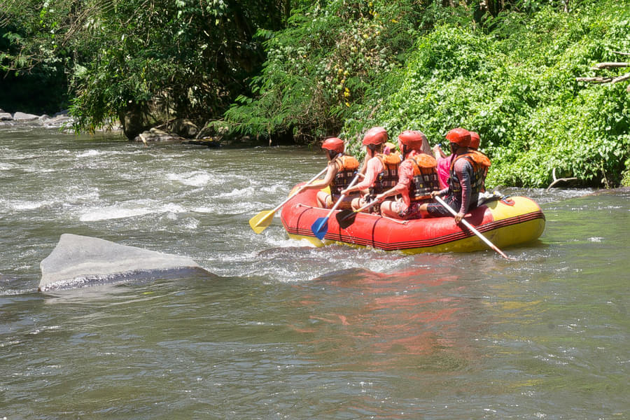 Ayung River Rafting With Elephant Ride Image