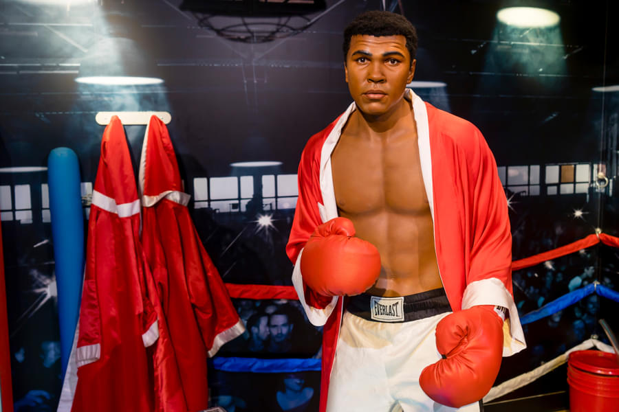 Meet the professional boxer- Muhammad Ali