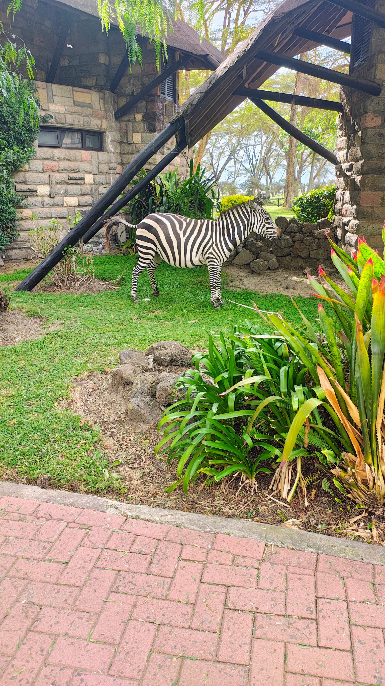 Photo from Debapriya Banerjee's trip