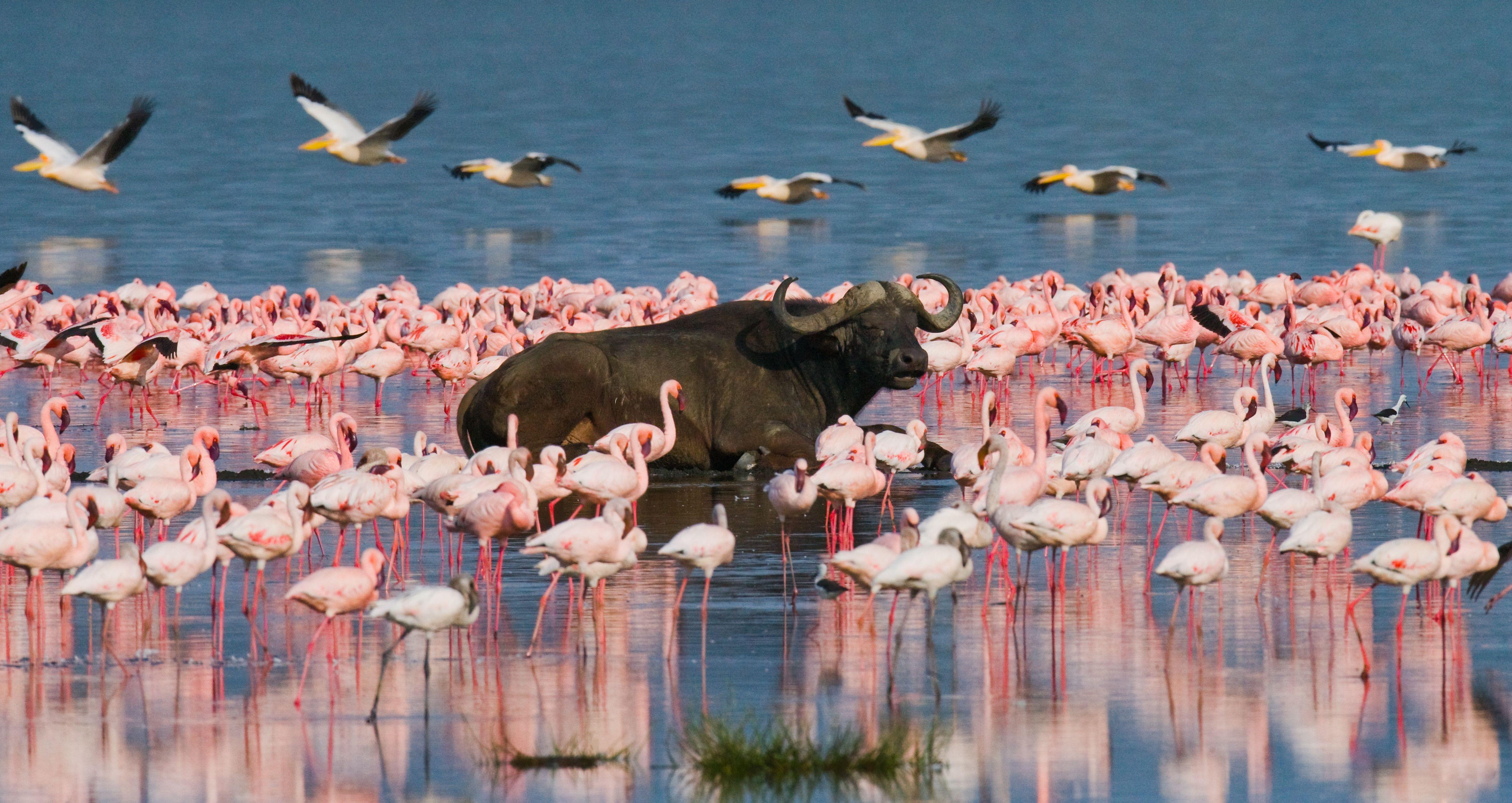 Lake Nakuru National Park