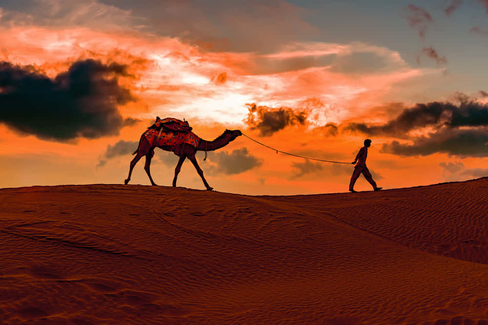Rajasthan Treasures | Golden Triangle Hidden Wonders