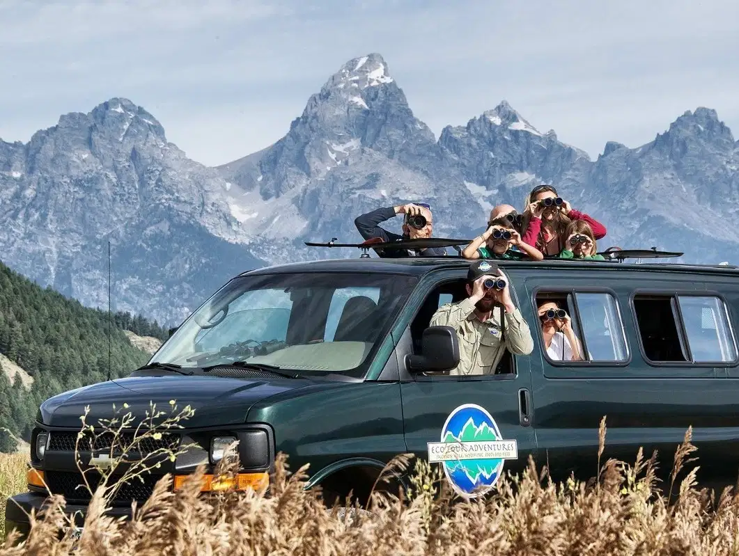 Grand Teton National Park Wildlife Safari Tour
