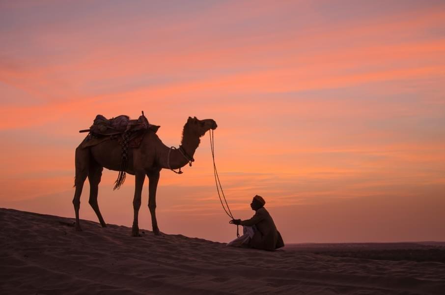 Luxury Camping in Jaisalmer with Candle Light Dinner Image