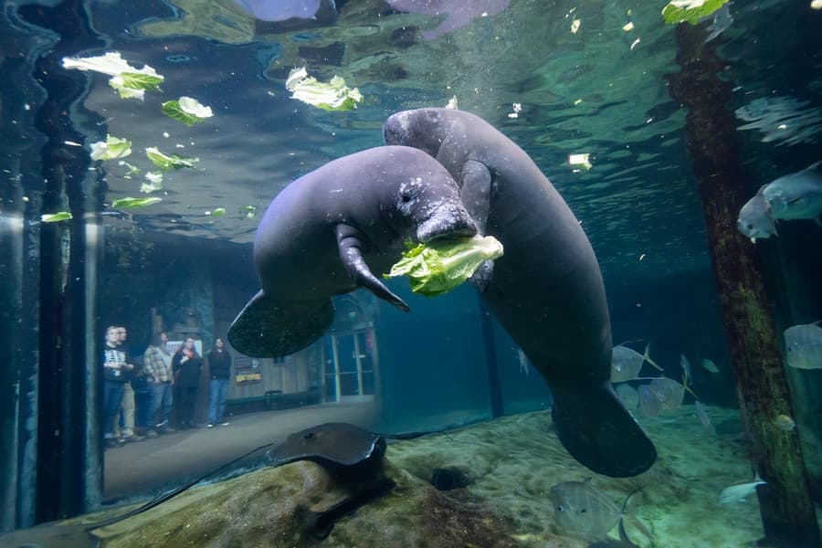 Columbus Zoo and Aquarium Tickets Image