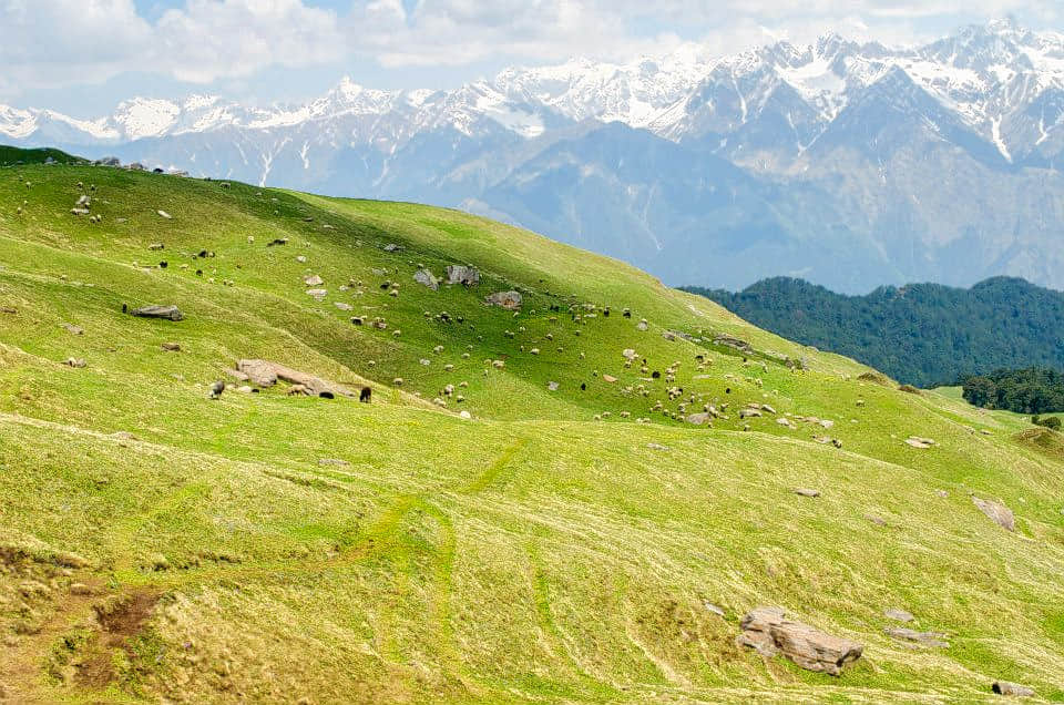 Photo from Dakshayani Dhawan's trip
